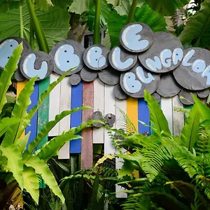 https://bubble-bungalow.tophotelskohtao.com